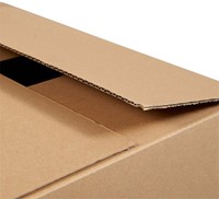 Amerikaanse vouwdoos IEZZY 305x220x150mm br 1 Stuk-2