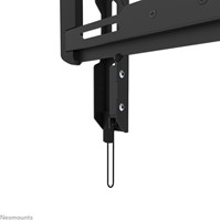 TV wandsteun Neomounts 24-55 inch 1 Stuk-5