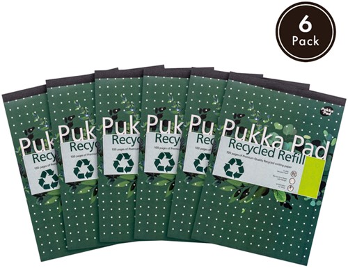 Schrijfblok Pukka A4 lijn 4-gaats 100 vel 80gr 1 Stuk-4