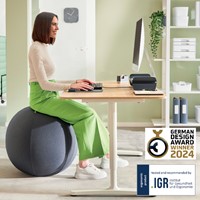 Actieve zitbal Leitz Ergo 65cm anti-rol donkergs 1 Stuk-5