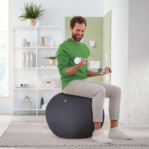 Actieve zitbal Leitz Ergo 65cm anti-rol donkergs 1 Stuk-6