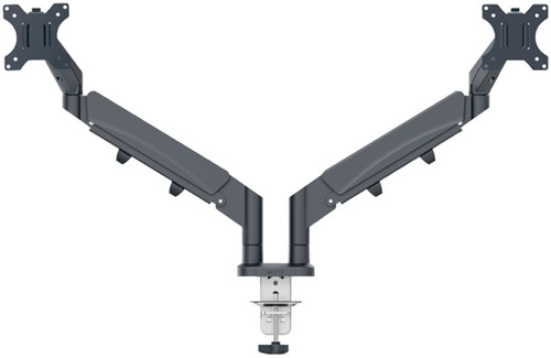 Monitorarm Leitz Ergo ruimtebesparend dubbel 1 Stuk