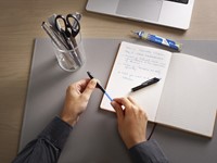 Rollerpen PILOT friXion Ball Plus M blauw 1 Stuk-2