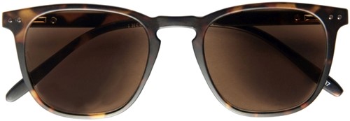 Zonnebril I Need You  +2.00dpt Playa havanna 1 Stuk