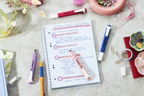 Markeerstift STABILO Swing cool nature assorti 6st 6 Stuk-2