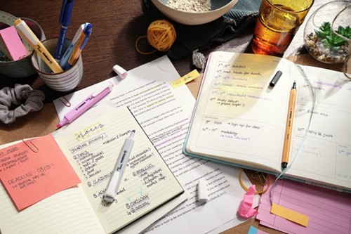 Markeerstift STABILO Swing cool nature assorti 6st 6 Stuk-3