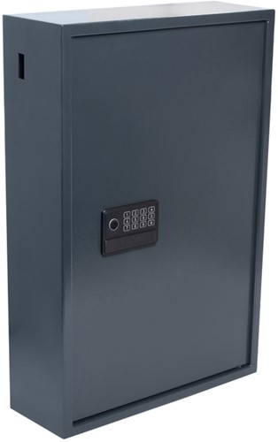 Sleutelkast Pavo High security advanced 300 haken 1 Stuk-2