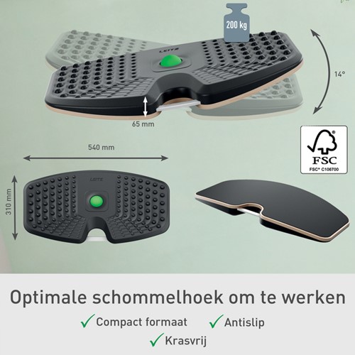 Balansbord Leitz Ergo Actief 1 Stuk-1