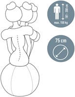 Actieve zitbal Leitz Ergo 75cm anti-rol design 1 Stuk-1