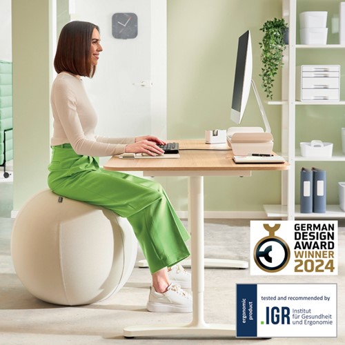 Actieve zitbal Leitz Ergo 65cm anti-rol design 1 Stuk-3