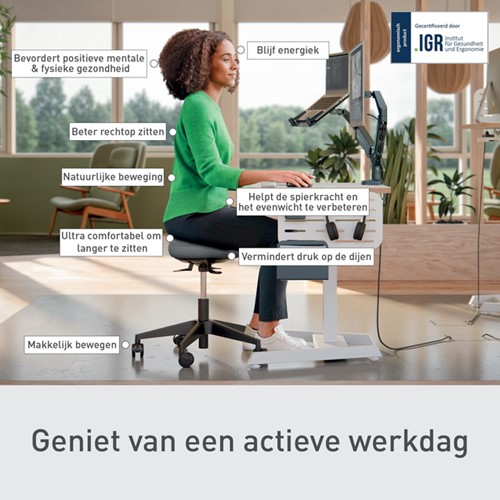 Zitkruk Leitz Ergo met wieltjes en wiebelkussen 1 Stuk-4