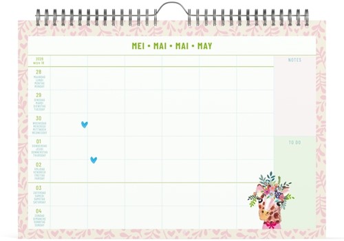 Familiekal 26 Lannoo  Paper Salad 7d/1p 1 Stuk-2