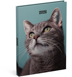 Agenda 2026 Lannoo My favourite friends 7d/2p cats 1 Stuk