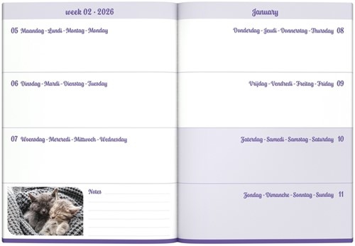 Agenda 2026 Lannoo My favourite friends 7d/2p cats 1 Stuk-2