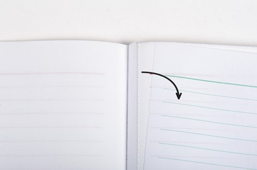 Kasboek Exacompta leveringen dupli 50vel NL FR 1 Stuk-3