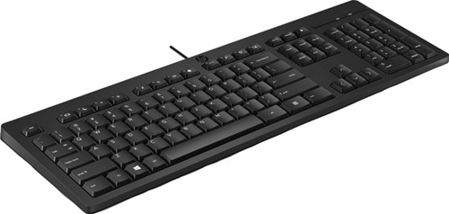 Toetsenbord HP 125 USB bedraad 1 Stuk-2