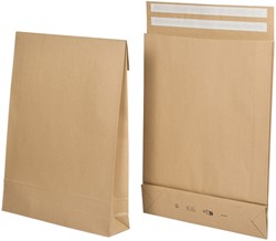 EC envelop IEZZY 350x450x120+100 br 200st 200 Stuk