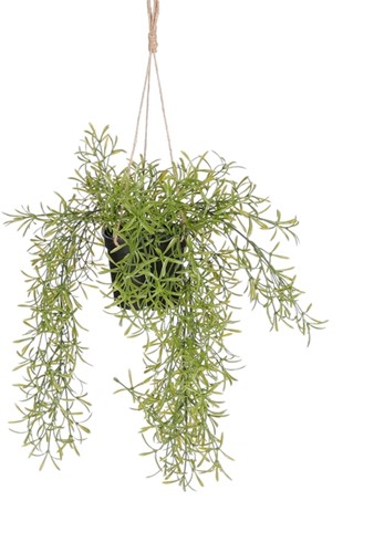 Kunstplant Mica Rhipsalis hangend in pot groen 1 Stuk