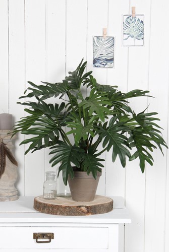 Kunstplant Mica Philodendron selloum groen in pot 1 Stuk-1