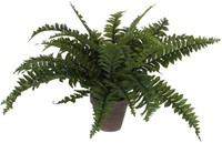 Kunstplant Mica Boston varen groen in pot 1 Stuk