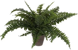 Kunstplant Mica Boston varen groen in pot 1 Stuk