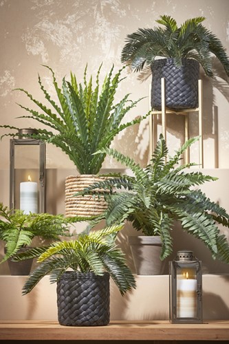 Kunstplant Mica Boston varen groen in pot 1 Stuk-3