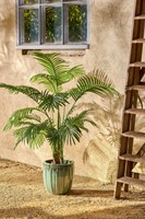Kunstplant Mica Areca palm in pot groen 1 Stuk-4