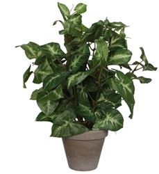Kunstplant Mica Syngonium groen in pot 1 Stuk