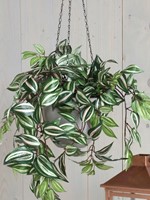 Kunstplant Mica Tradescantia hangend groen 1 Stuk-2
