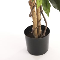 Kunstplant Mica Ficus groen in pot 1 Stuk-3