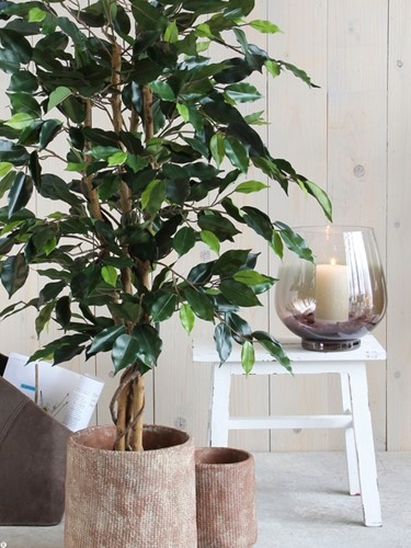 Kunstplant Mica Ficus groen in pot 1 Stuk-3