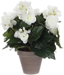 Kunstplant Mica Begonia wit in pot Stan grijs 1 Stuk