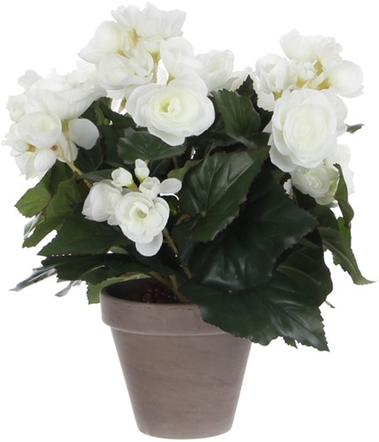 Kunstplant Mica Begonia wit in pot Stan grijs 1 Stuk