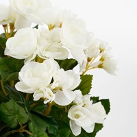 Kunstplant Mica Begonia wit in pot Stan grijs 1 Stuk-2