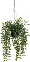 Kunstplant Mica Ficus hangend in pot groen 1 Stuk