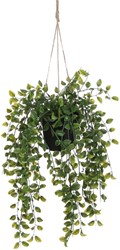Kunstplant Mica Ficus hangend in pot groen 1 Stuk