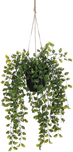 Kunstplant Mica Ficus hangend in pot groen 1 Stuk