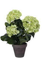 Kunstplant Mica Hortensia in pot groen 1 Stuk