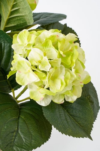 Kunstplant Mica Hortensia in pot groen 1 Stuk-2