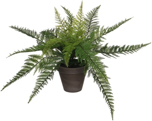 Kunstplant Mica Varen groen in pot Stan grijs 1 Stuk