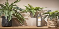 Kunstplant Mica varen groen in pot Stan grijs 1 Stuk-3
