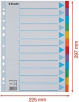 Tabbladen Esselte Stand A4 12dlg karton 11r ass 1 Set-2