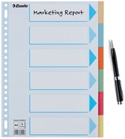 Tabbladen Esselte premium A4 6dlg karton 23r ass 1 Stuk-12