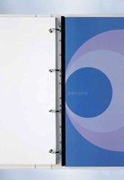 Filestrip GBC A4 21-rings 100 Stuk