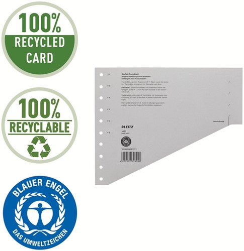 SCHEIDINGSBLADEN LEITZ 1651 KARTON A4 200GR GRIJS 100 Stuk-10