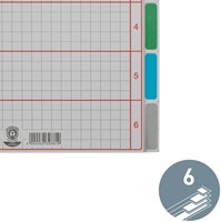 Tabbladen Leitz 4350 A4 4r karton 6dlg grijs 1 Stuk-1