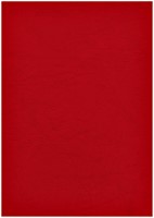 Voorblad Fellowes A4 lederlook rood 100 Stuk-2