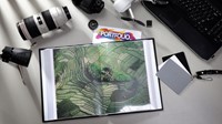 Showmap Rillstab A4 8 kanaals 80 tassen zwart 1 Stuk-3