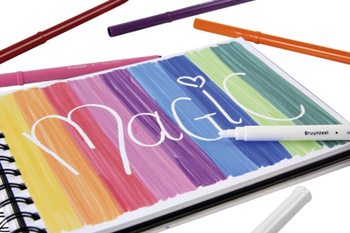 Viltstift Bruynzeel Superpoints blik 15 kleuren 15 Stuk-3