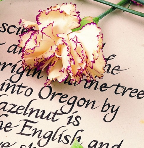 Fineliner Staedtler pigment 308 0.1-0.7mm zwart 4 Stuk-1